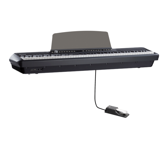 פסנתר חשמלי נייד P-200 עם מקלדת FATAR איטלקית בצבע שחור מבית Pearl River