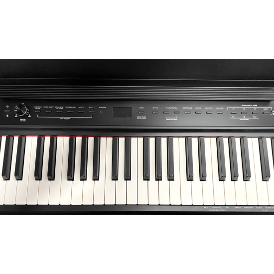 פסנתר חשמלי נייד P-200 עם מקלדת FATAR איטלקית בצבע שחור מבית Pearl River