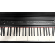 פסנתר חשמלי נייד P-200 עם מקלדת FATAR איטלקית בצבע שחור מבית Pearl River