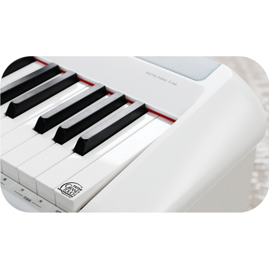 פסנתר חשמלי נייד P-200 עם מקלדת FATAR איטלקית בצבע לבן מבית Pearl River